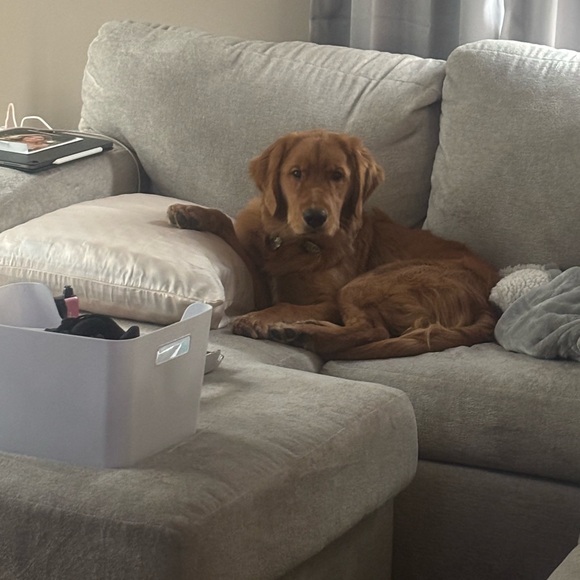 Meet your Posher, Brittany. I have two amazing and beautiful daughters, 14 & 18. - Picture 7 of 8